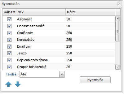 Nyomtatás képernyő